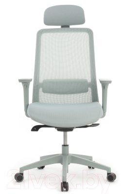 Кресло офисное Riva Work W-218C (светло-серый)