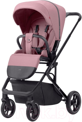 Детская универсальная коляска Carrello Alfa 2 в 1 / CRL-6507 (Rouge Pink)