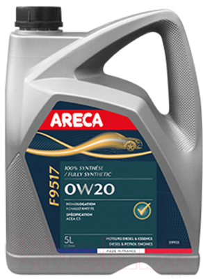 Моторное масло Areca F9517 0W20 / 051993 (5л)