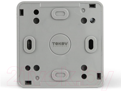 Розетка Tokov Electric TKE-NX-R1Z-C06T-IP54