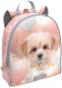 Детский рюкзак Erich Krause EasyLine Mini Animals 5L Maltipu / 60261 - 