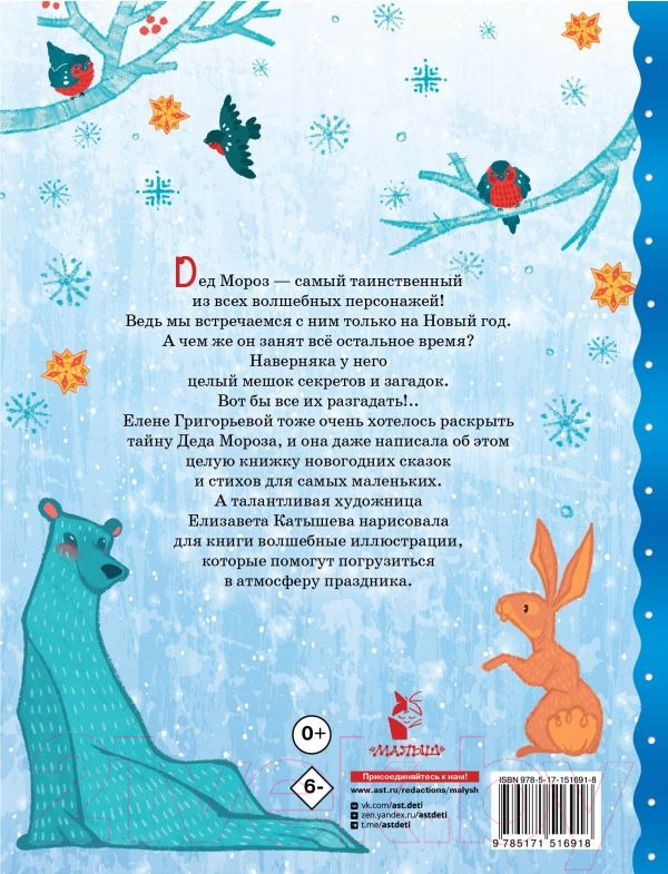Художественная книга АСТ Тайна Деда Мороза. Сказки и стихи (Григорьева Е.В.) — фото 4