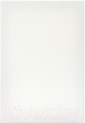 Набор холстов для рисования Brauberg Art Debut / 191649 (3шт)