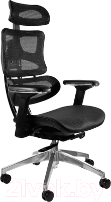 Кресло офисное Unique Ergotech CM-B137A (Black Mesh/Chrome Frame)