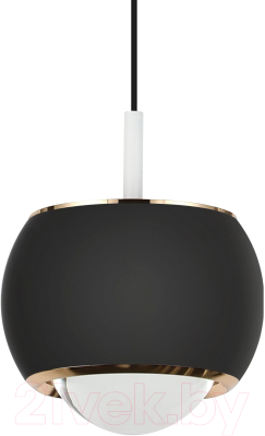 Потолочный светильник LED4U L8757-1 BK
