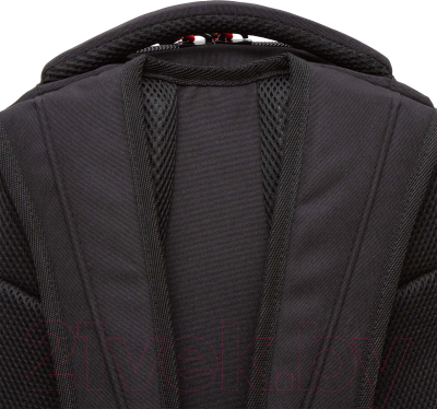Рюкзак Grizzly RU-431-2 (черный/красный)