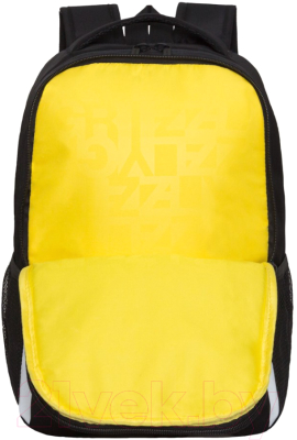 Школьный рюкзак Grizzly RB-451-6 (черный)
