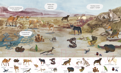 Развивающая книга CLEVER Найди и покажи. Удивительный мир животных