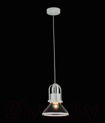 Потолочный светильник Maytoni Argo T268-PL-01-W