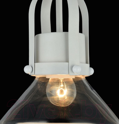 Потолочный светильник Maytoni Argo T268-PL-01-W