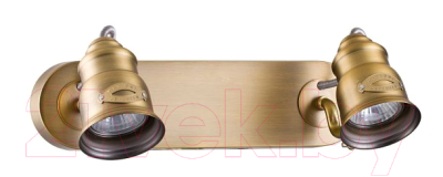

Спот Maytoni, Borgo SP315-CW-02-BS