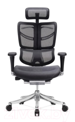 Кресло офисное Ergostyle Fly T-01 / HFYM01 (черный)