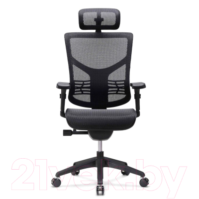 Кресло офисное Ergostyle Vista T-01 / VSM01 (черный)