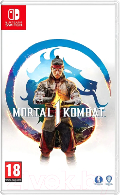 Игра для игровой консоли Nintendo Switch Mortal Kombat 1 (EU pack, RU subtitles)