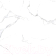 Плитка Netto Gres White Marble Matt (600x600) - 