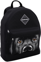 Школьный рюкзак Erich Krause EasyLine 17L Black Dog / 60324 - 