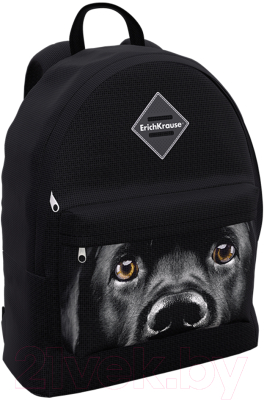 Школьный рюкзак Erich Krause EasyLine 17L Black Dog / 60324
