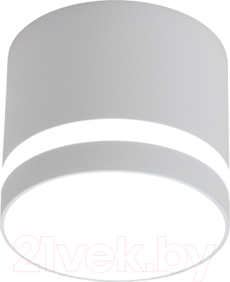 Точечный светильник Truenergy 21015