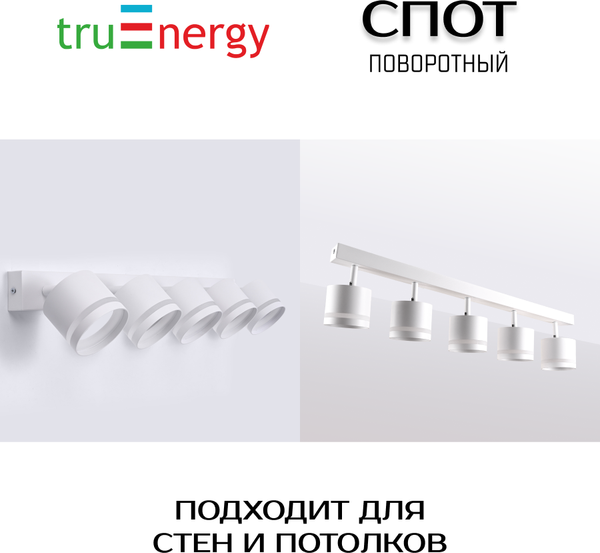 Спот Truenergy 21023