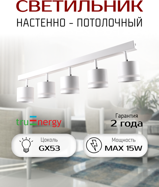 Спот Truenergy 21023