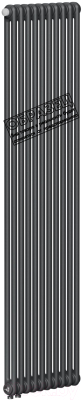 Радиатор стальной Rifar Tubog 2180-08-D1 (нижнее подключение, антрацит)