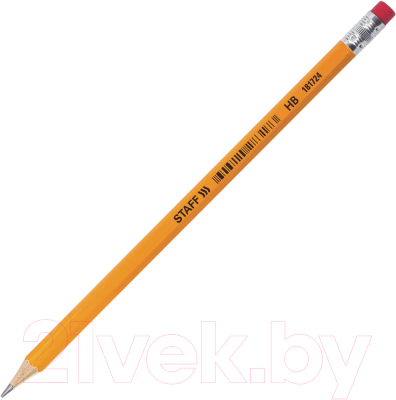Набор простых карандашей Staff Everyday BLP-724 / 880432 (100шт)