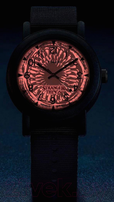 Часы наручные мужские Timex TW2V50800