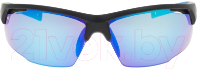 Очки солнцезащитные GOG E665-1 (черный матовый/синий)