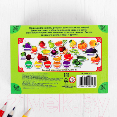 Развивающий игровой набор Лесная мастерская Магниты. Изучаем цвета и овощи, фрукты / 3622858