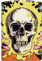 Зажигалка Zippo Skull Design / 48640 (разноцветный) - 