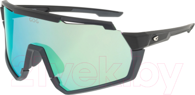 Очки солнцезащитные GOG E503-1 (черный матовый/серый)