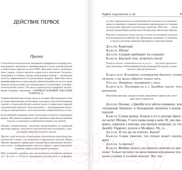 Художественная книга АСТ Орфей спускается в ад (Уильямс Т.) — фото 5