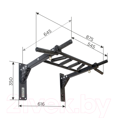 Турник Flexter Profi Konon / ТK12-FLX P (черный)