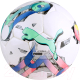 Футбольный мяч Puma Orbita 5 HS / 08378601 (размер 5) - 
