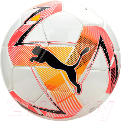 Мяч для футзала Puma Futsal 2 HS / 08376401 (размер 4)