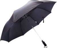 

Зонт складной, 2501B