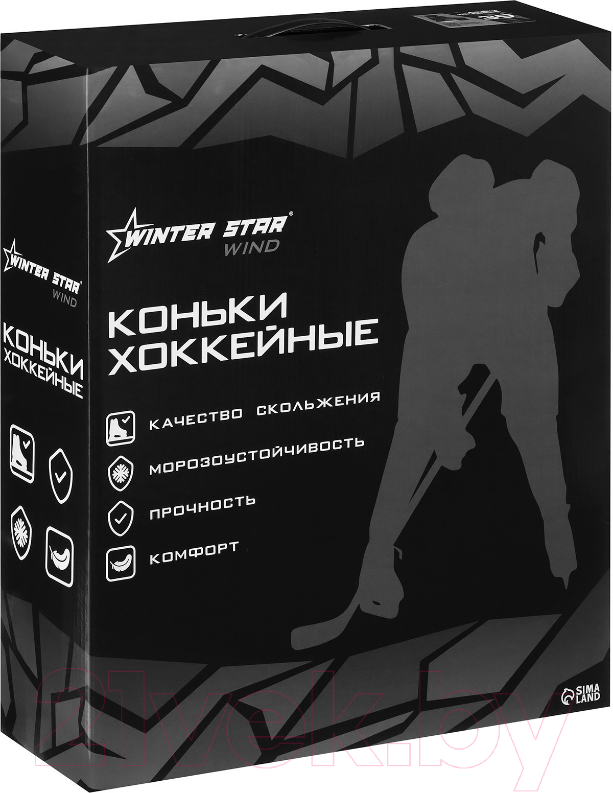 Коньки хоккейные Winter Star 9667116