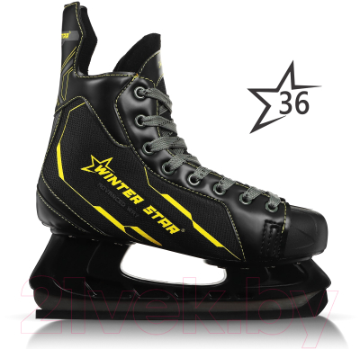 Коньки хоккейные Winter Star Advanced Way / 9667133 (р.36)
