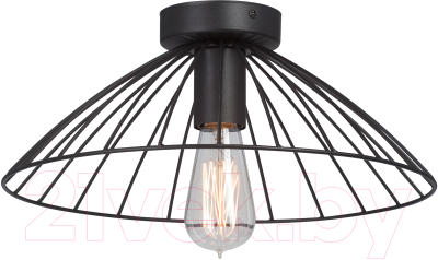 Изображение товара Потолочный светильник Vitaluce V3036-1/1PL