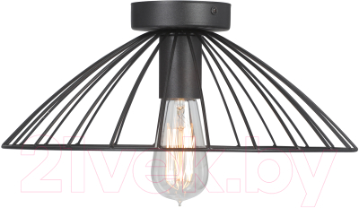 Изображение товара Потолочный светильник Vitaluce V3036-1/1PL