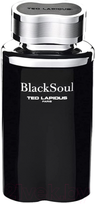 Туалетная вода Ted Lapidus Blacksoul (100мл)