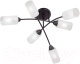 Люстра Vitaluce V4188-1/6PL -