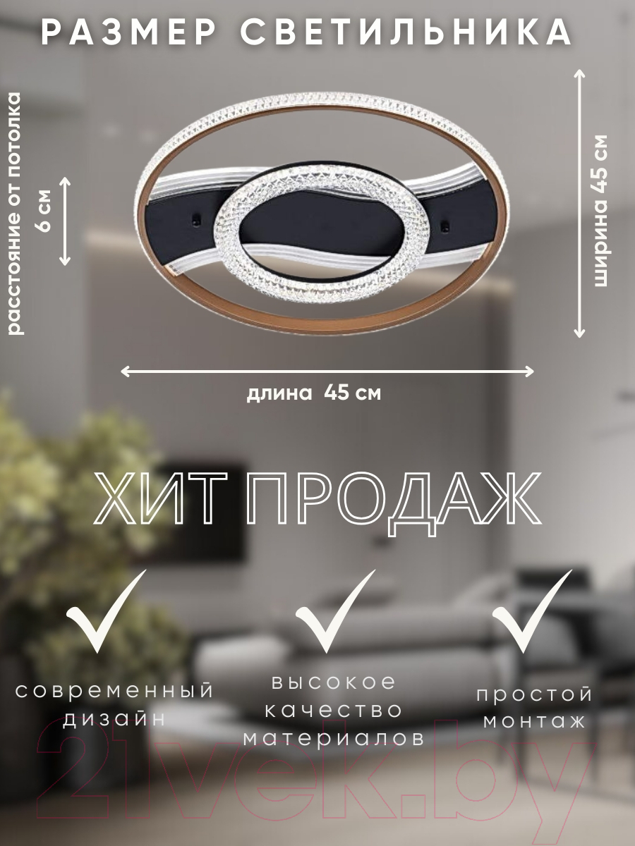 Потолочный светильник Aitin-Pro B8814A/Ф450 (черный/золото PBP) — фото 5