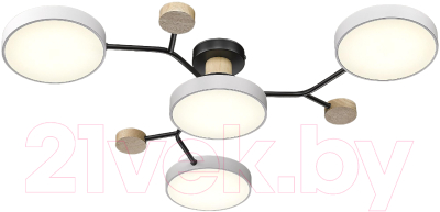 Потолочный светильник Velante 446-007-04