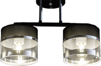Потолочный светильник Aitin-Pro НПБ 02-2x40-101 / N5395/2 (черный/хром) - 