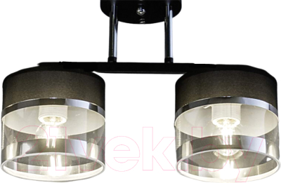 Потолочный светильник Aitin-Pro НПБ 02-2x40-101 / N5395/2 (черный/хром)