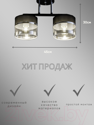 Потолочный светильник Aitin-Pro НПБ 02-2x40-101 / N5395/2 (черный/хром)