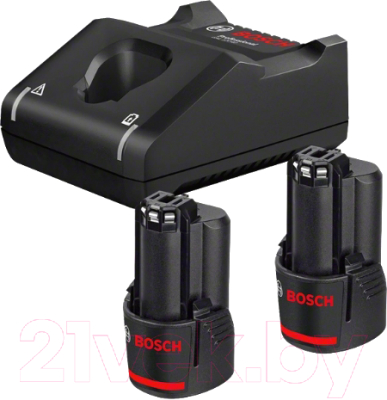 Набор аккумуляторов для электроинструмента Bosch GBA 12 В 2х3.0 Ah (1.600.A01.9RD)