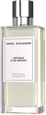 Туалетная вода Angel Schlesser Les Eaux D'Un Instant Blooming Grapefruit (100мл)