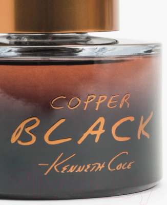 Туалетная вода Kenneth Cole Copper Black (50мл)